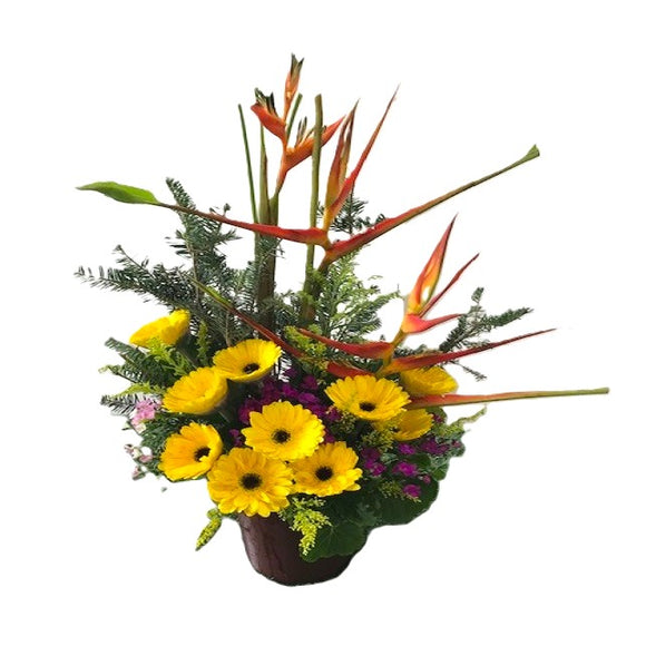 KFA0094 | Gerberas and Heliconia Table Flower