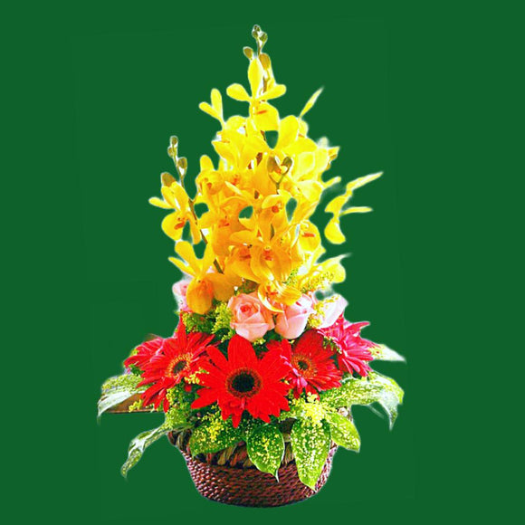 KFA0004 Elegance | Orchids Table Flower