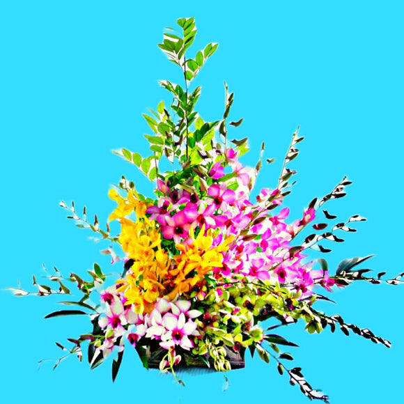 KFA0013 Tropical Glory | Orchids Table Flower