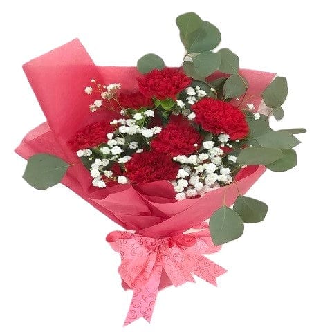 6 red carnations bouquet