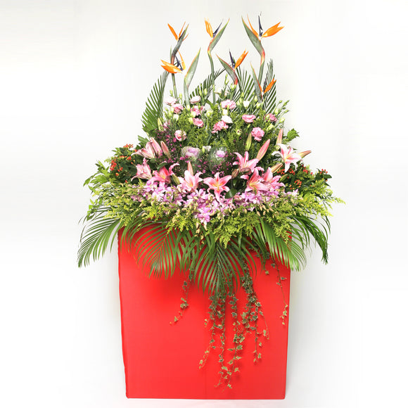Orchid, rose, lilies, carnation, bird of paradise and filler flowers arranged on a box stand for grand opening and congratulatory occasions by Katong Flower Shop for Singapore Delivery.﻿